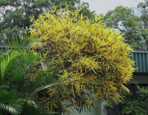 17 EDWIN T. MEREDITH DSC05219.JPG