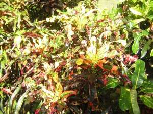 DSCN5553.JPG