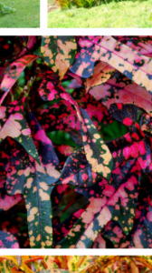 Screenshot_2014-07-24-03-31-38.png