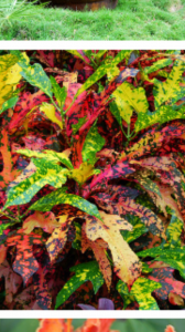 Screenshot_2014-07-24-03-31-49.png