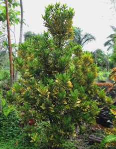08 GOLD DUST-LA GARITA COUNTRY ROAD.JPG