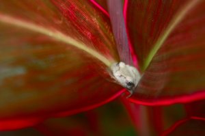 Img_6544.jpg