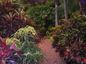 DSCN5630.JPG