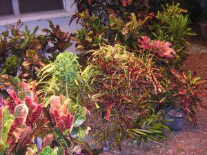 DSCN5632.JPG