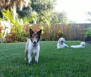 20141017_174730-1.jpg