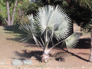 IMG_1359.JPG