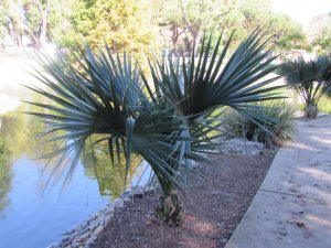 IMG_1371.JPG