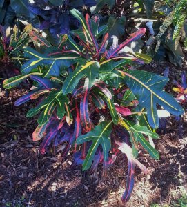 20141102_113817 (2).jpg