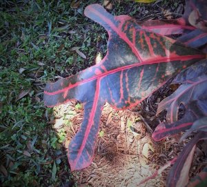 20141102_113846 (2).jpg