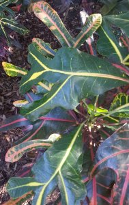 20141102_113831 (2).jpg