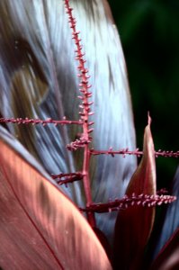 Img_7420.jpg