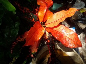 20150320_150700.jpg