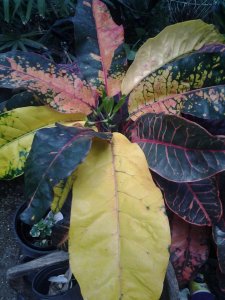 20150320_144011.jpg