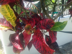 20150824_115033.jpg