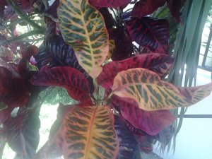 20150824_115100.jpg