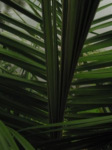 STK_1817.jpg