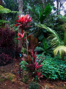 DSCF1793.jpg