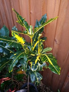 20151103_173026.jpg