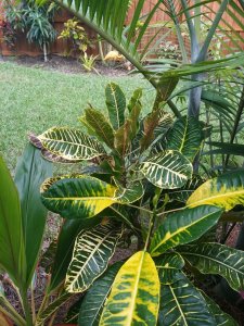 20160110_150130.jpg
