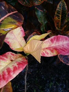 20160125_172828.jpg