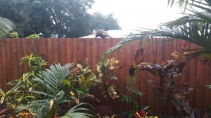 20160128_075630.jpg