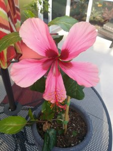 20160309_163526.jpg
