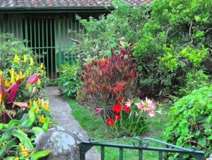 20 ZANZIBAR aka BRILLATISIMA (CNTR) - COUNTRY GARDEN, ESCAZU.JPG