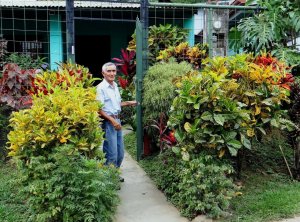 22 COUNTRY CROTON MÉLANGE - MR. GERARDO IS VERY PROUD OF HIS HOME GARDEN.jpg