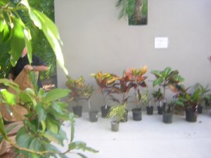 DSCN7135.JPG