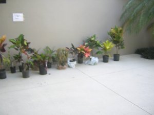 DSCN7136.JPG
