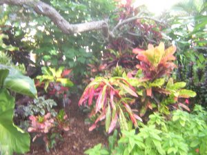 DSCN7142.JPG
