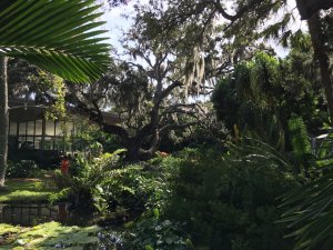IMG_0043.JPG