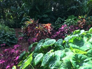 IMG_0050.JPG