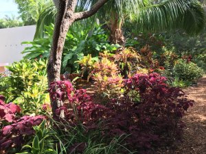 IMG_0062.JPG