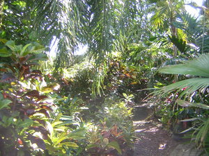 DSCN7431.JPG