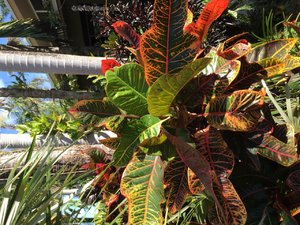 IMG_4082.JPG