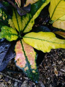 20180213_163005.jpg