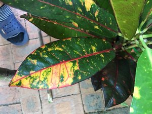 IMG_2998.JPG