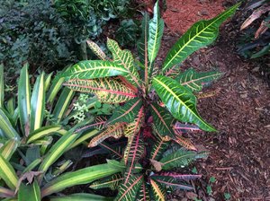 IMG_1480.JPG