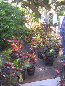 DSCN8132.JPG
