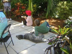 DSCN8139.JPG
