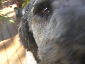 DSCN8146.JPG