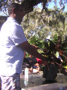 DSCN8143.JPG