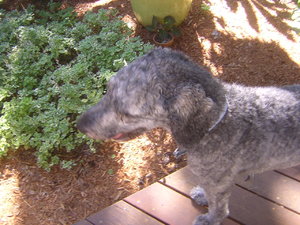 DSCN8149.JPG
