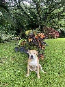 F8D1FAA8-F07A-416B-A519-AE3409A906D9.jpeg
