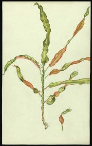 Spirale by Gordon Gee 1969.jpg