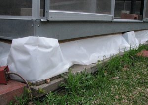 IMG_5018.jpg