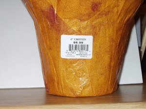 P1010003.jpg