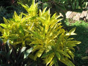 christmas_h (29).jpg