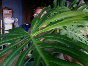 Photo 43.jpg
